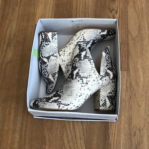 New in box Steve Madden Rockstar booties